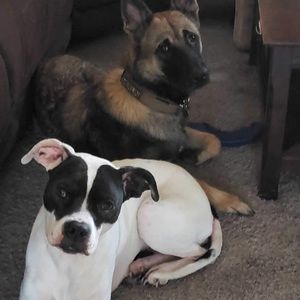 Meet your Posher, Brandy